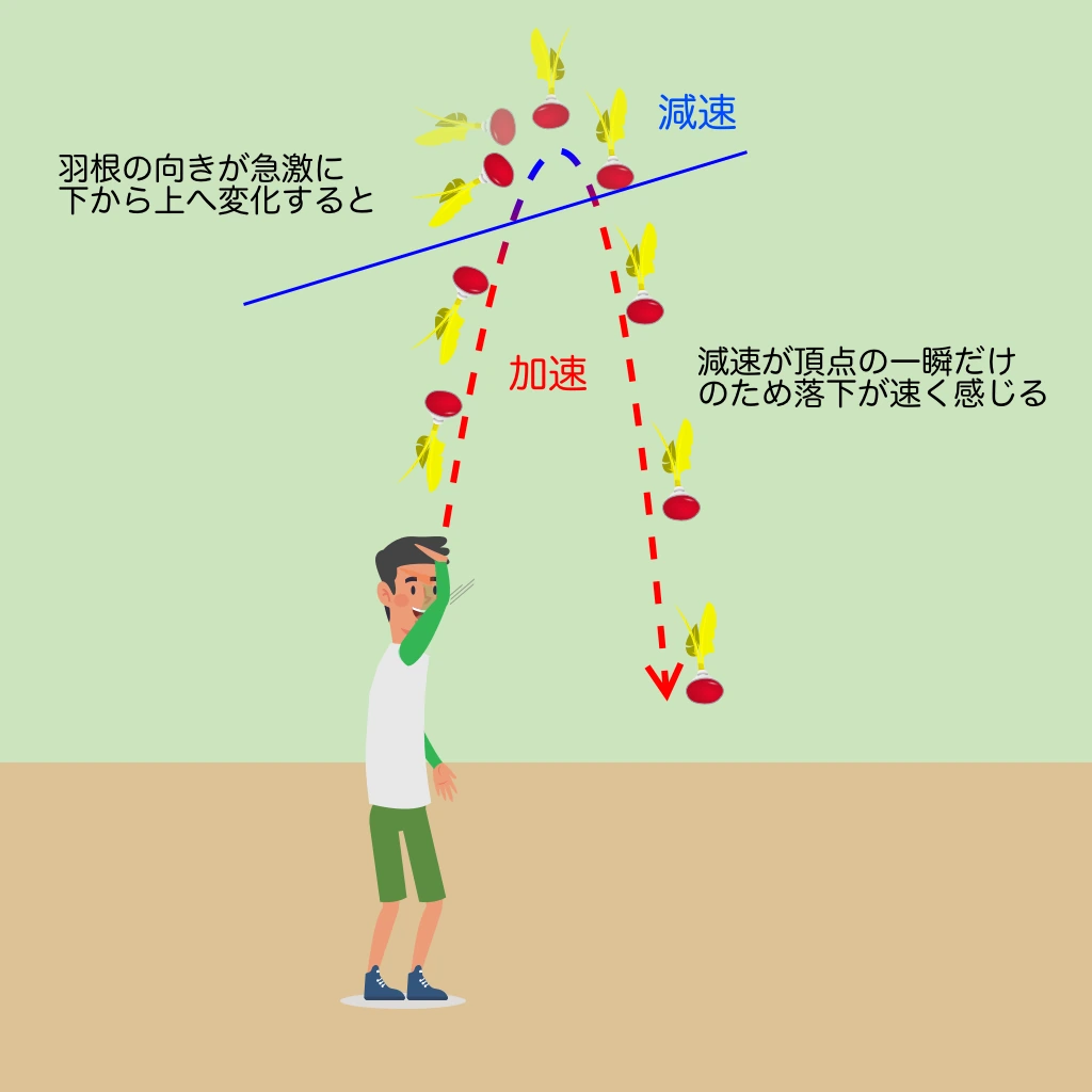 羽根の向きが急変し頂点付近だけ減速する羽球軌道