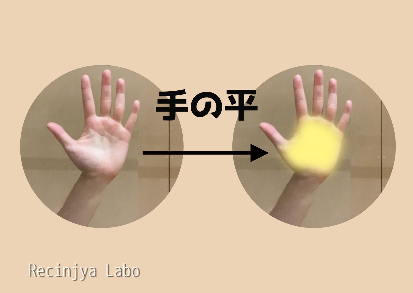 「手のひら内だけで触れた場合(セーフ)」を説明する図解または場面